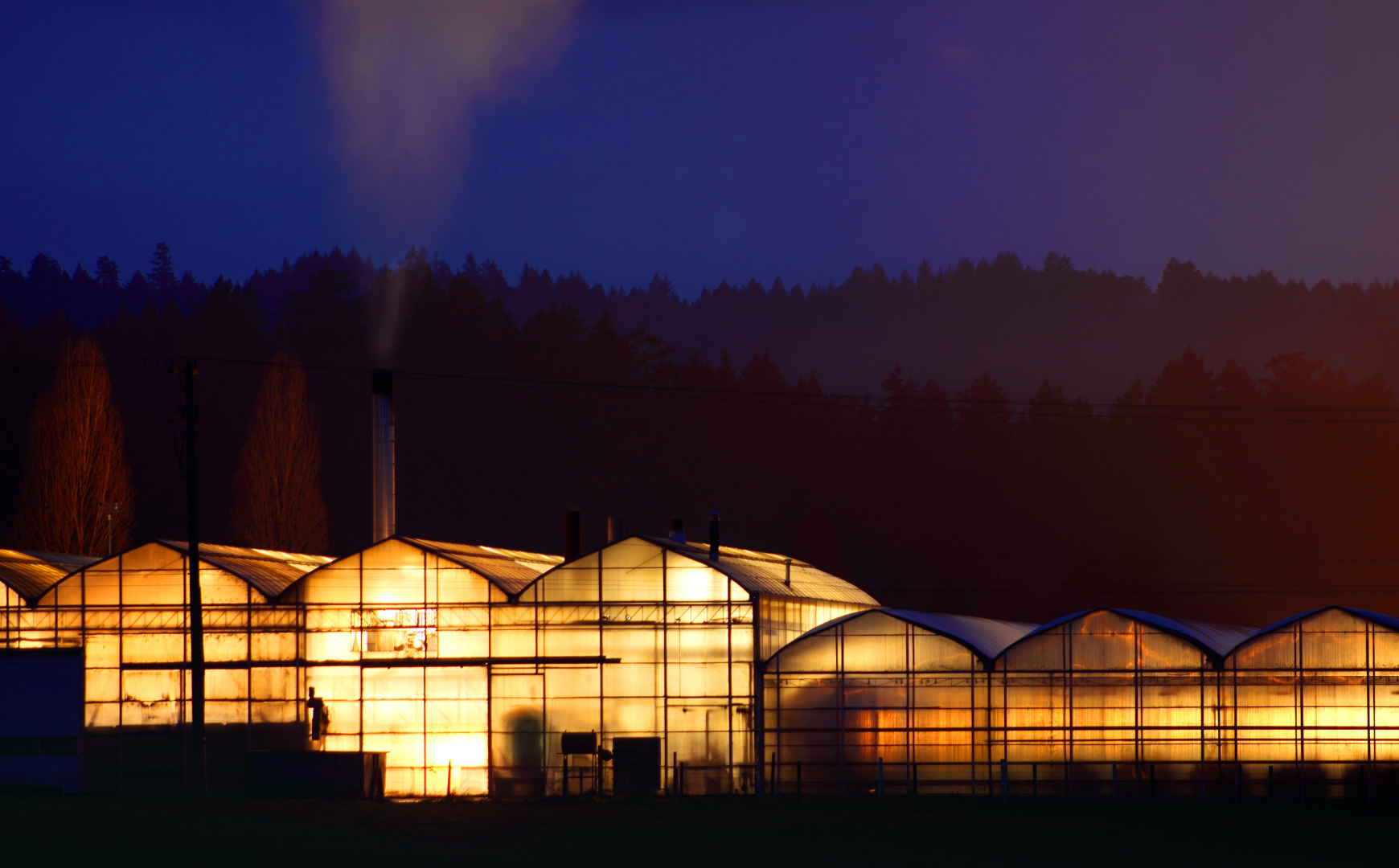 Sera Isıtmasında Enerji Verimliliği Nasıl Sağlanır?