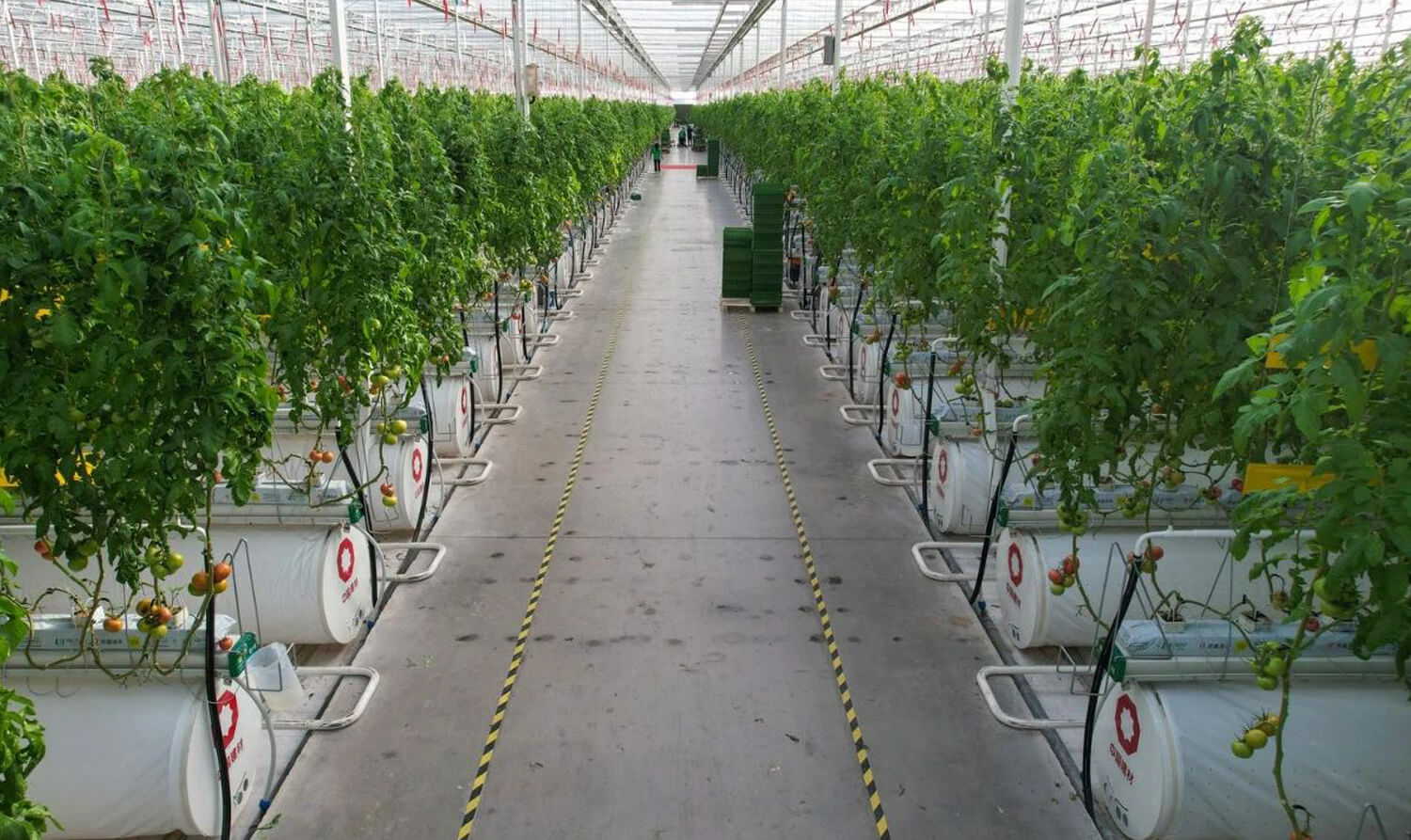 Antalya Salatalık Serası Güneş Enerjisi